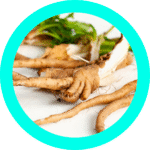 Inulina da raiz de chicória, ingrediente do Secaps Black Chá